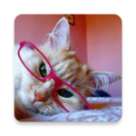 meowreader android application logo